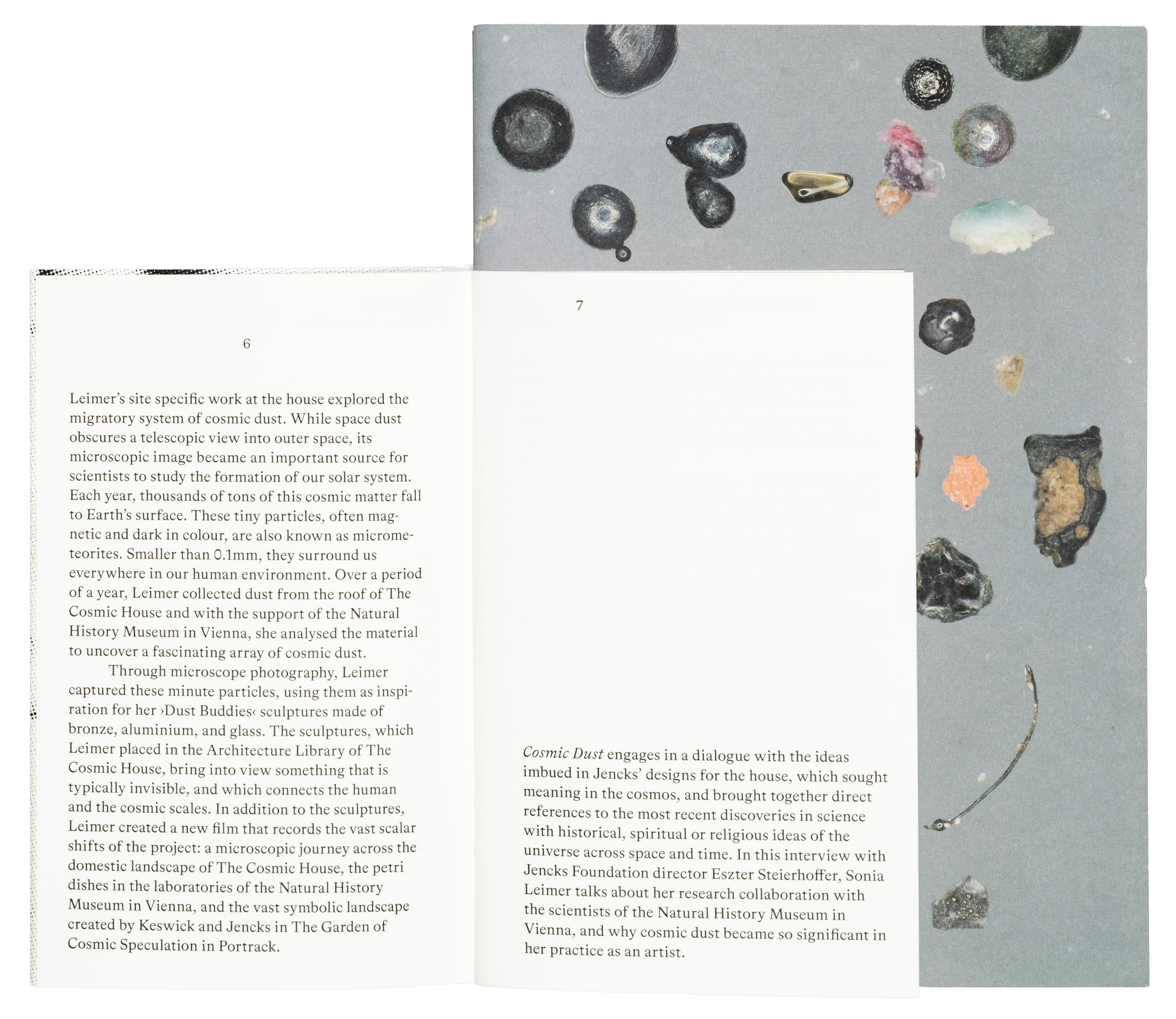  (Sonia Leimer: Cosmic Dust 4)