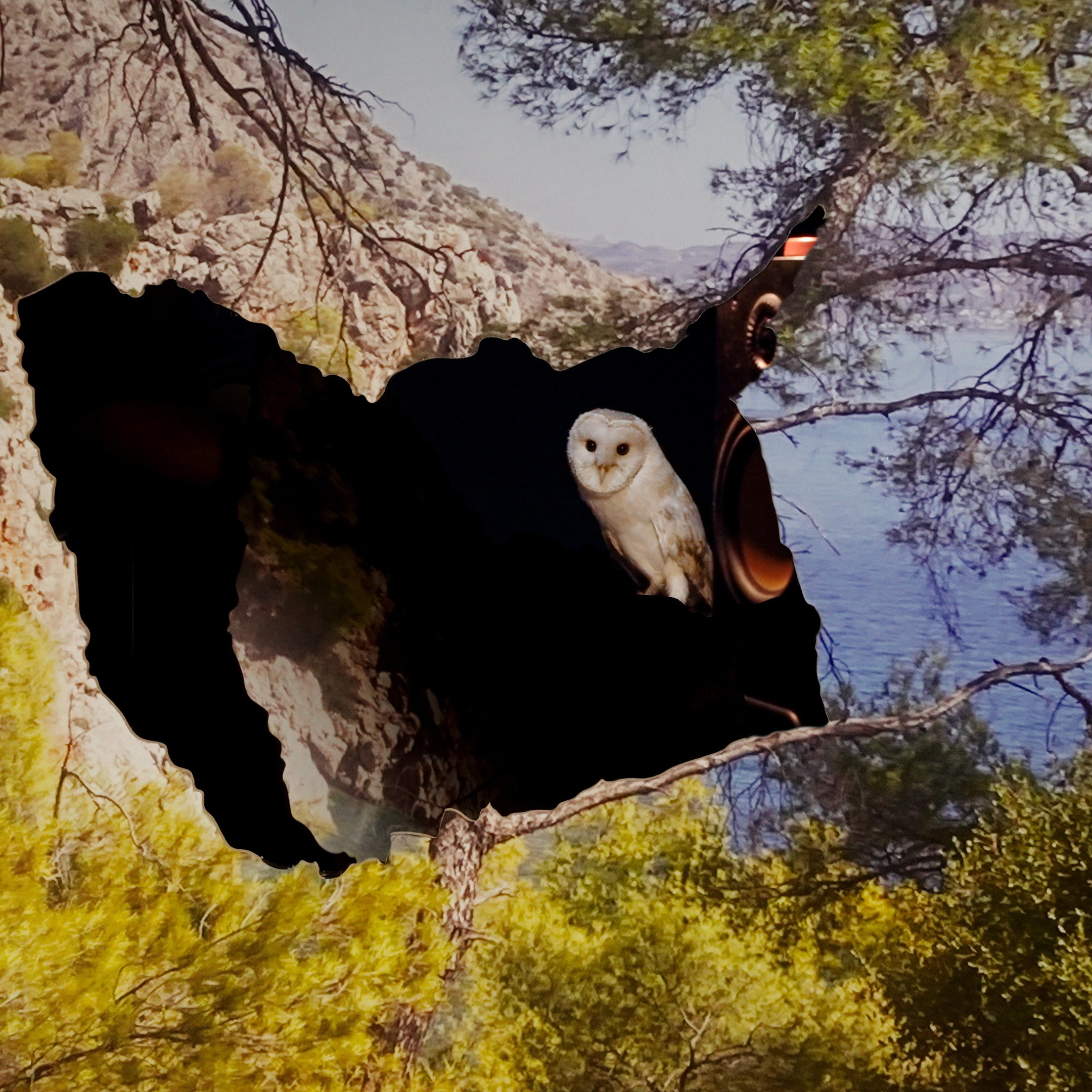  ( ATHANASIOS ARGIANAS: OWLS (INTO THE NIGHT)  0)