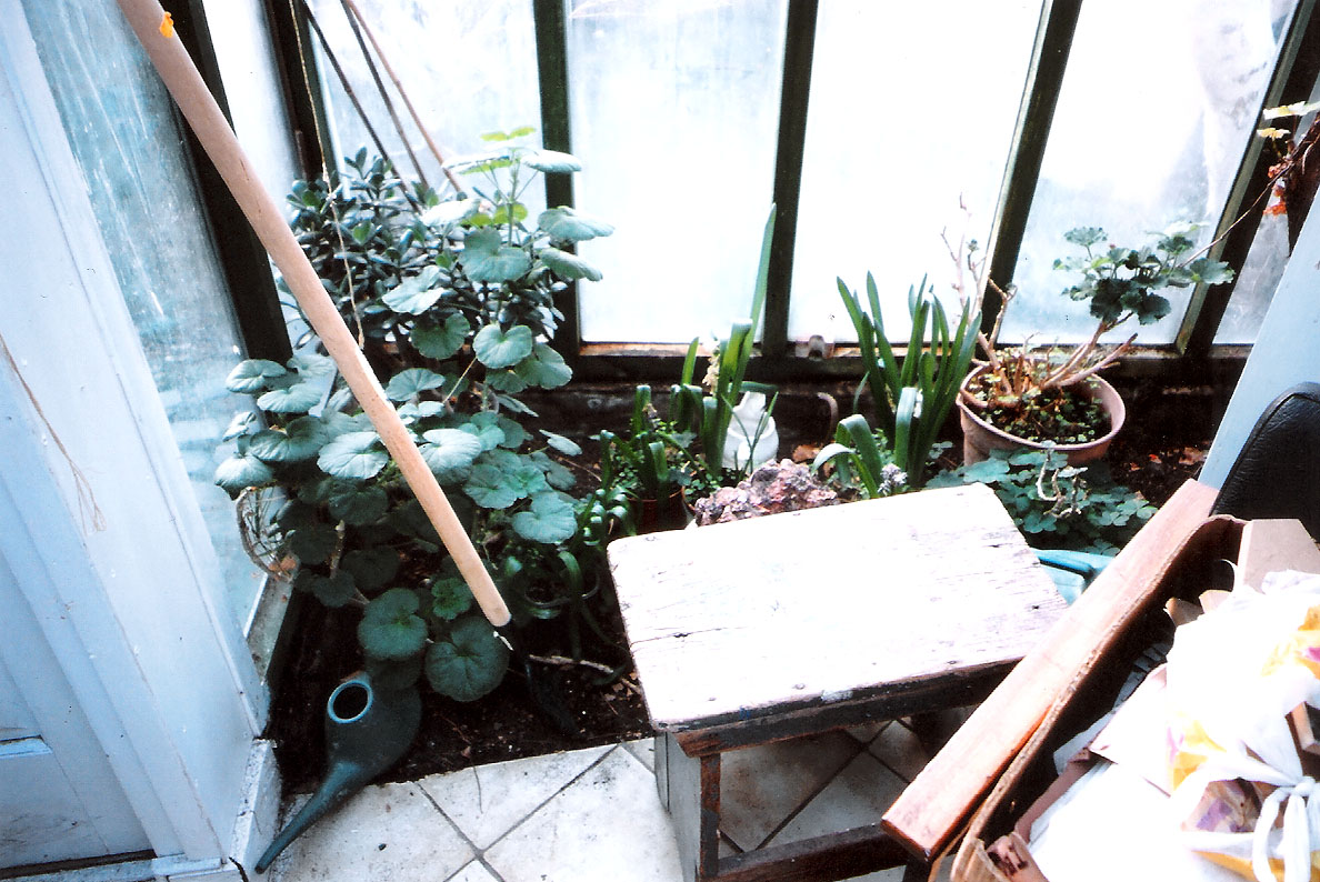 Photo: Ryumi Greatrex (Blaze 1)