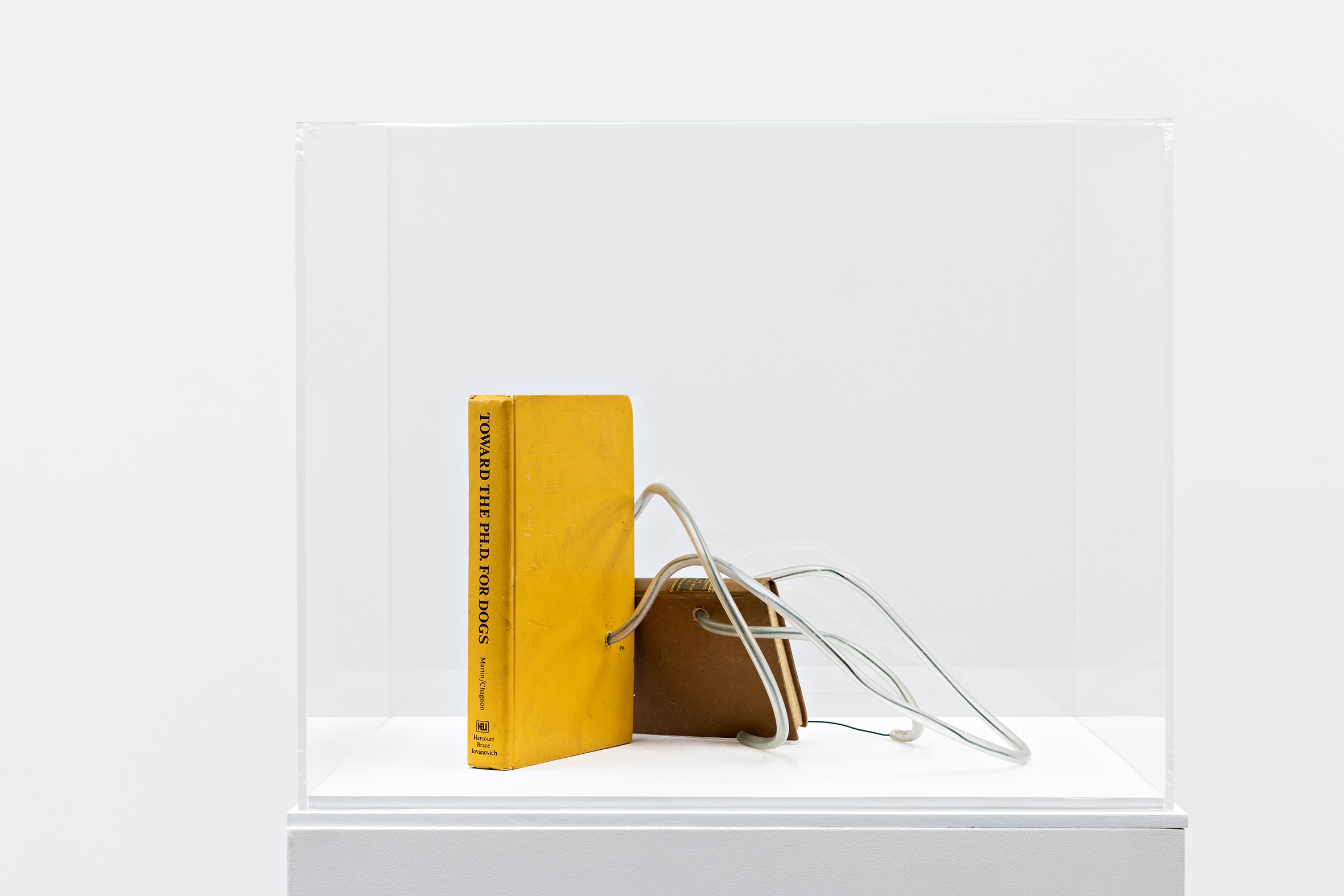 John Latham Tunnel Piece / Toward a PhD for Dogs 1998 (Fabriques de contre-savoirs at 49 Nord 6 Est – Frac Lorraine 7)