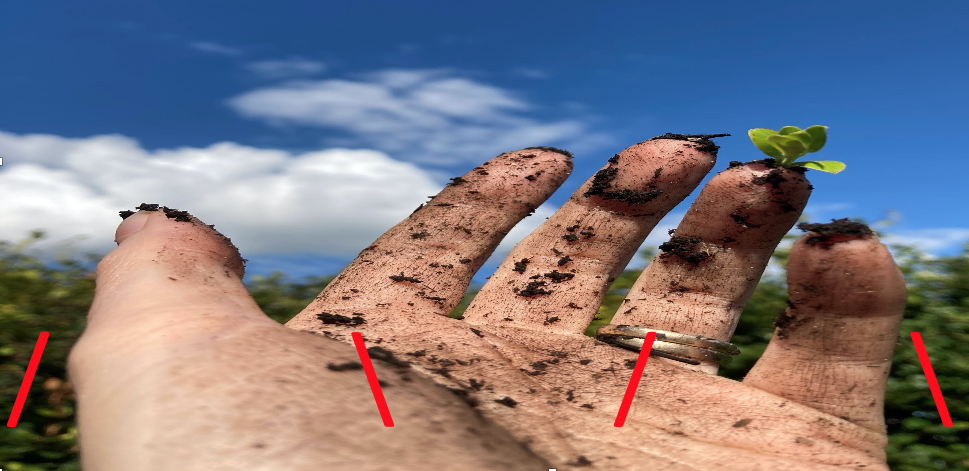  ((not) Stupid as a Painter: Contemporary art in the vicinity of Philosophy 2)