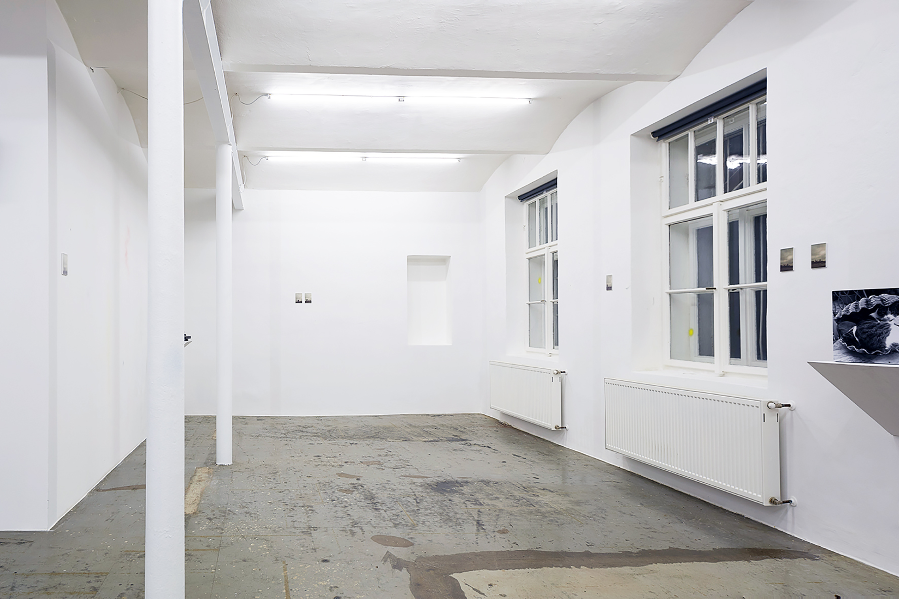  ( OFFSITE —  Distress Over Parliament  5)