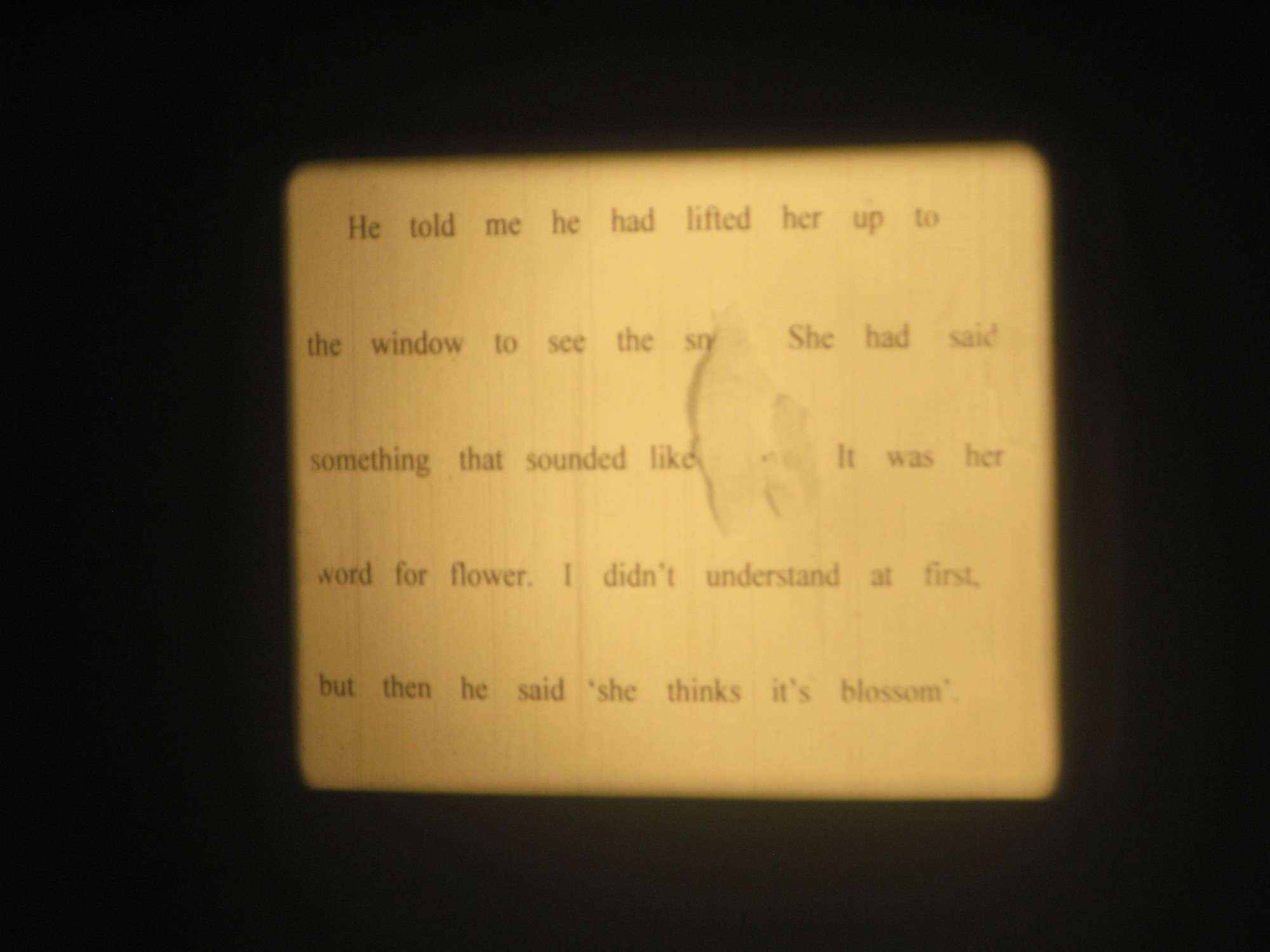 Annabel Nicolson & Lucy Reynolds Anthology (2013)  (Winter Garden 13)