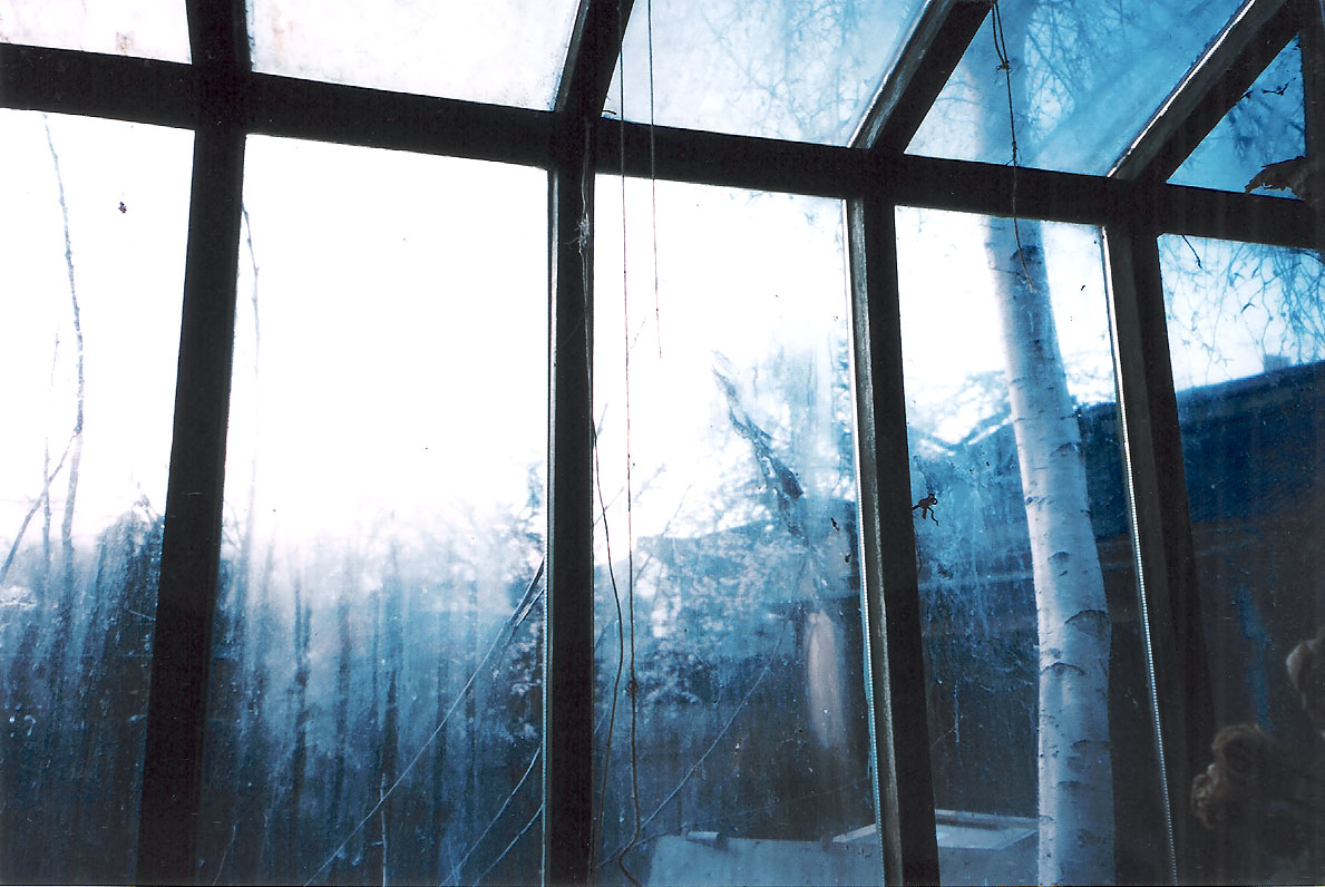 Photo: Ryumi Greatrex (Winter Garden 0)