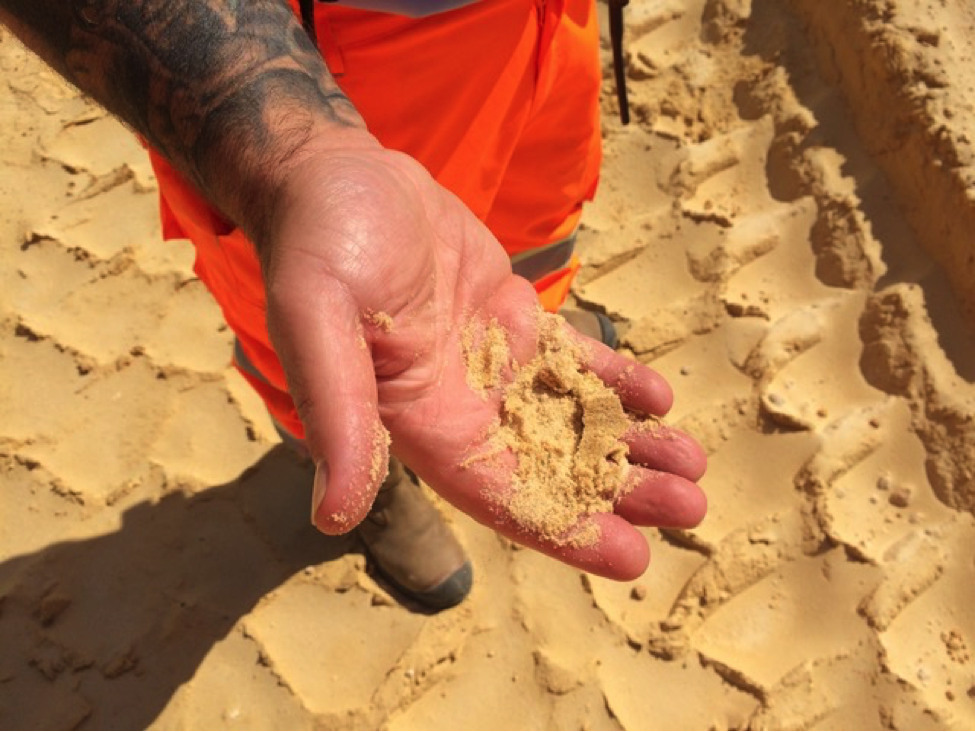 Incidental Futures: Study Day and Incidental Assembly 