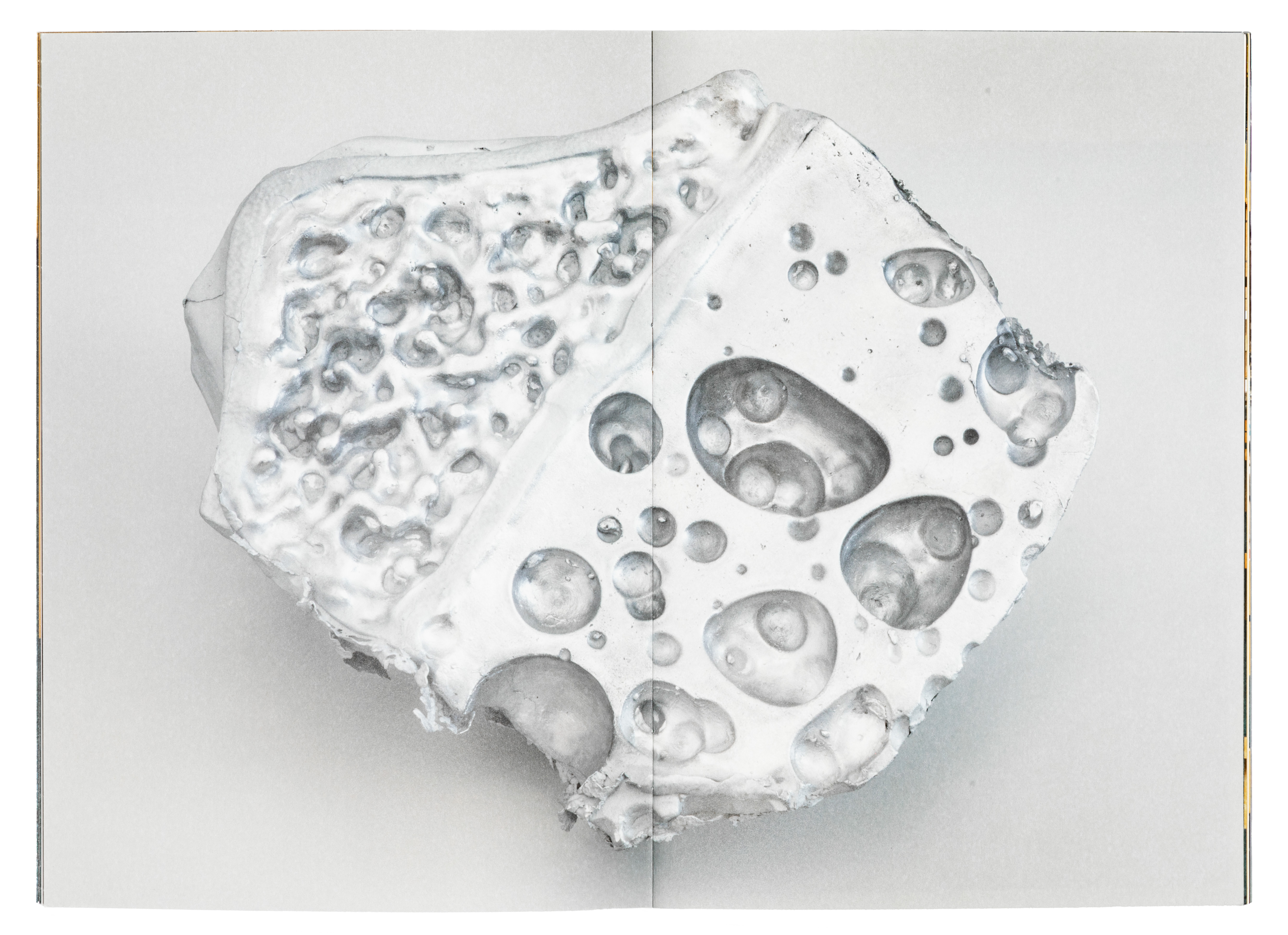 Sonia Leimer: Cosmic Dust