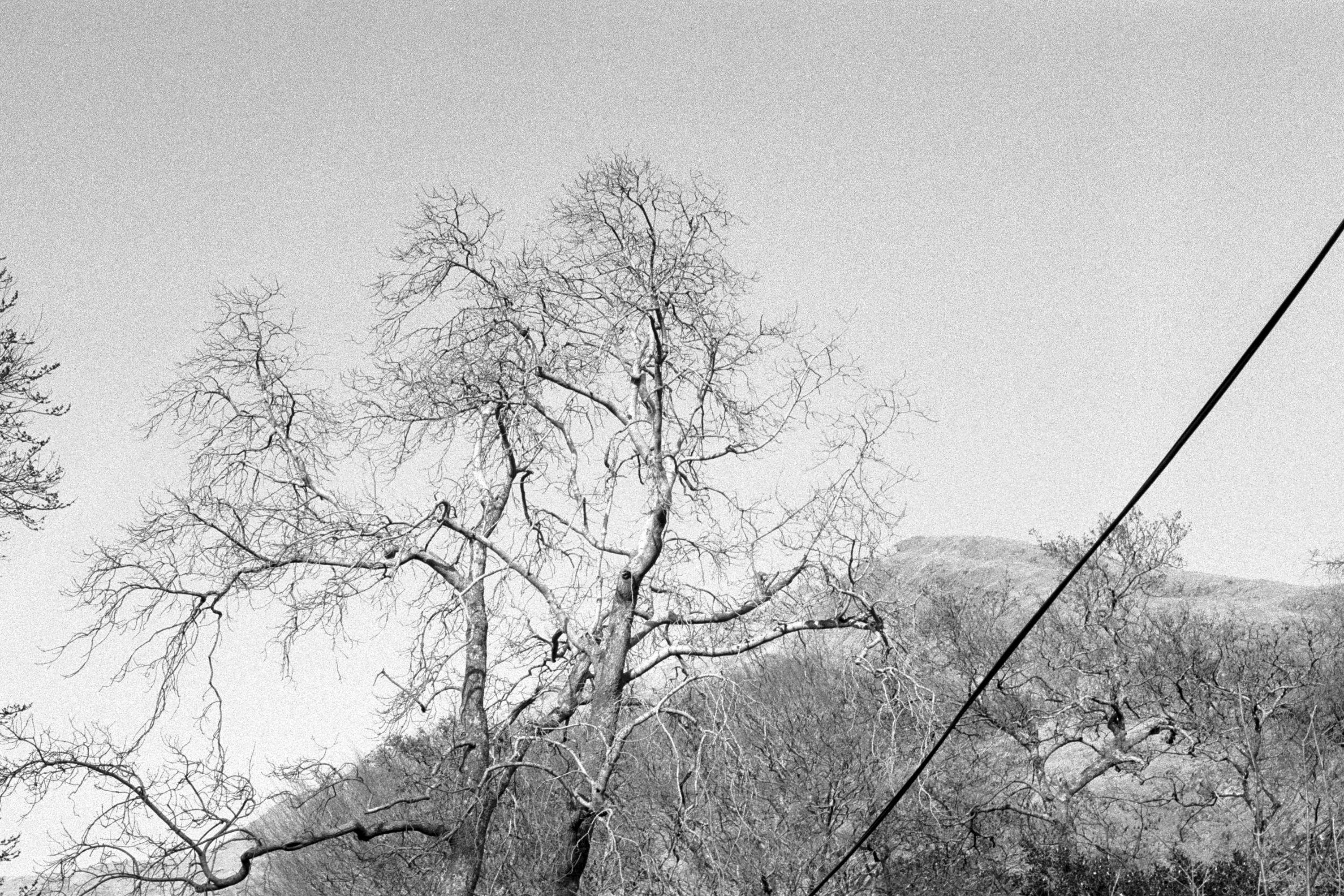 CHRISTOPHER STEENSON 