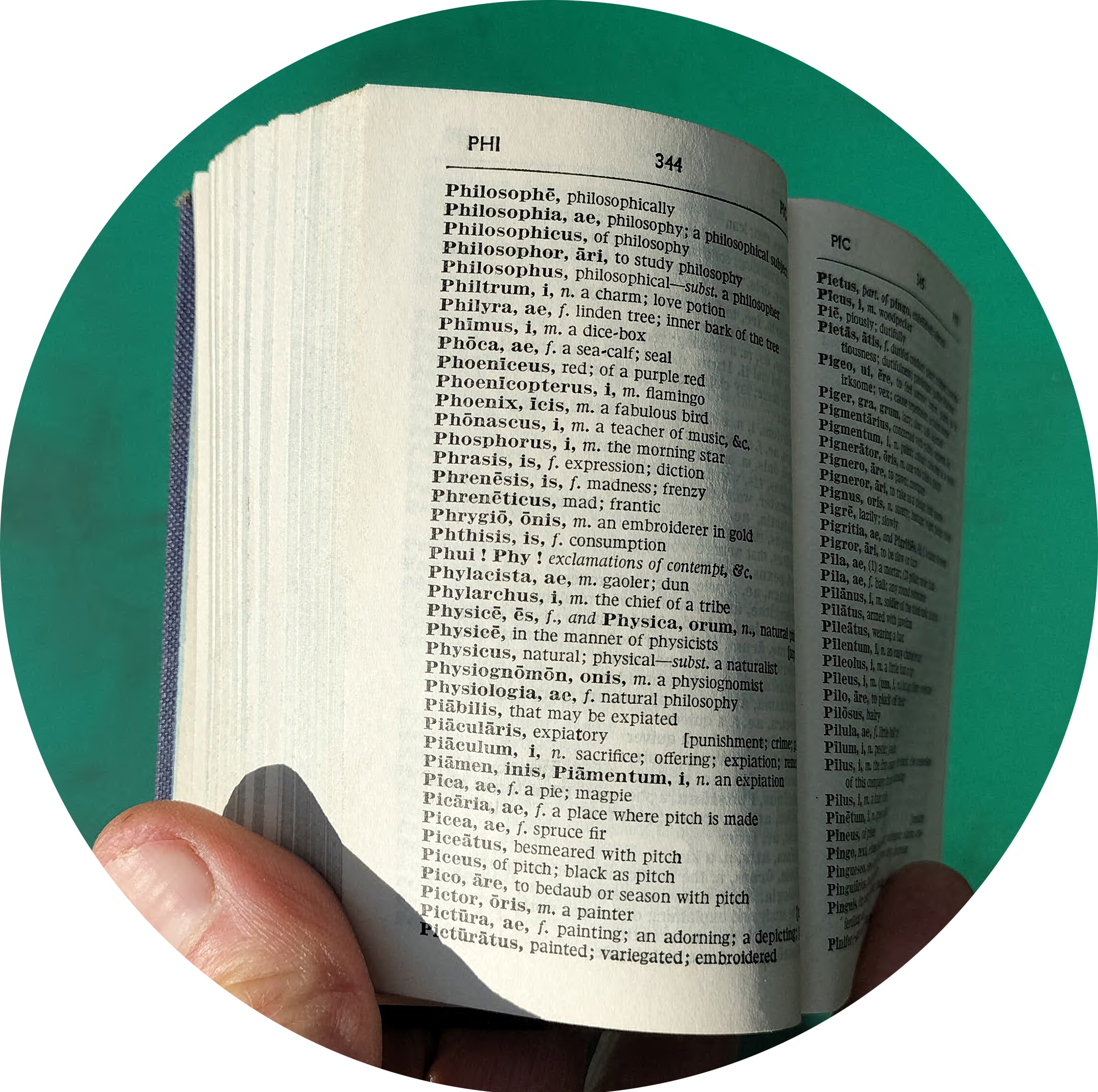 H  I  D  I  N  G    O  U  T