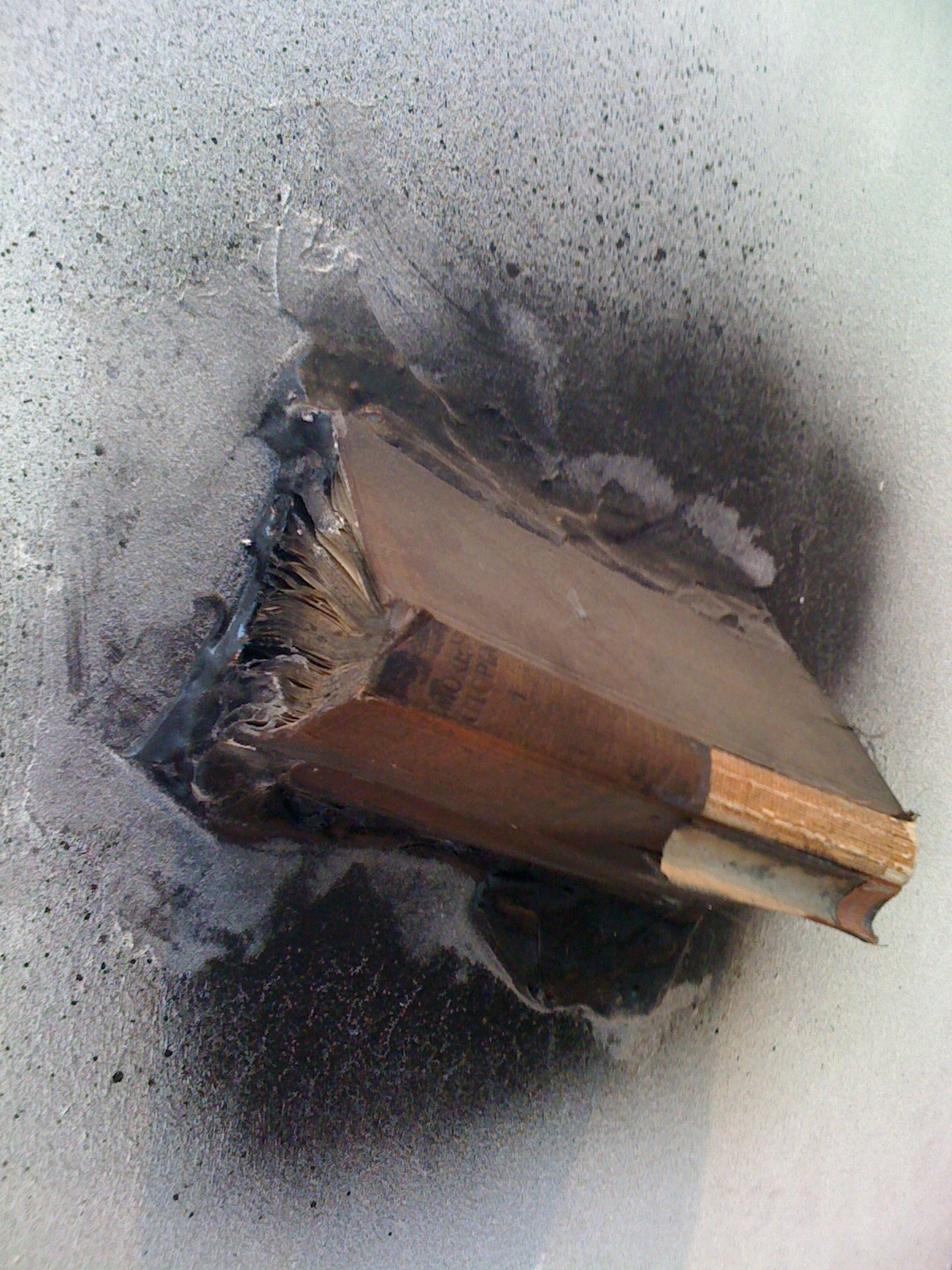 THE STORY OF THE RIO (ABRIDGED)