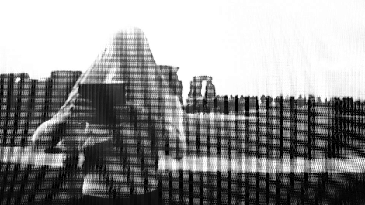 life/forms 3.0 | Wild Combination